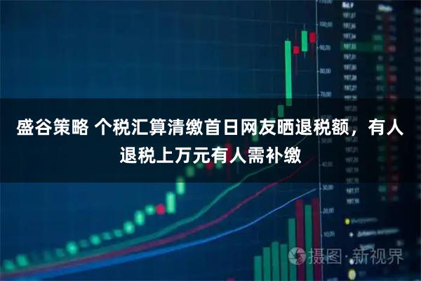 盛谷策略 个税汇算清缴首日网友晒退税额，有人退税上万元有人需补缴