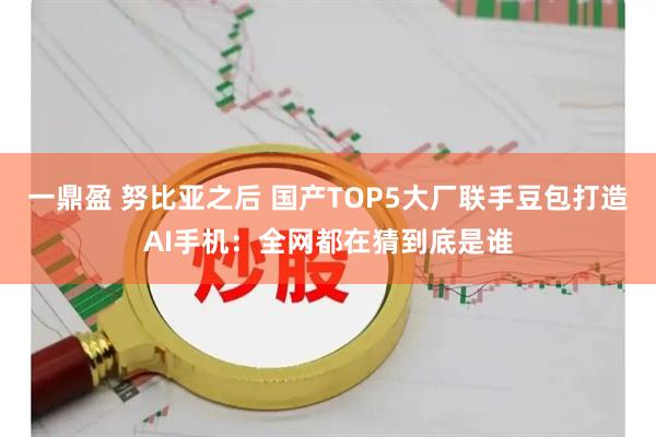 一鼎盈 努比亚之后 国产TOP5大厂联手豆包打造AI手机:全网都在猜到底是谁