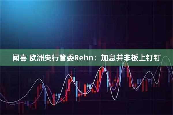 闻喜 欧洲央行管委Rehn：加息并非板上钉钉
