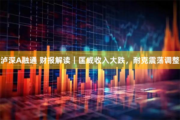 泸深A融通 财报解读｜匡威收入大跌，耐克震荡调整