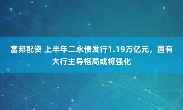 富邦配资 上半年二永债发行1.19万亿元，国有大行主导格局或将强化
